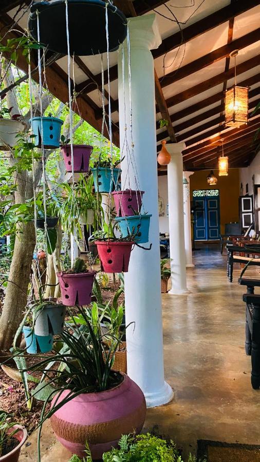 The Courtyard Villa สิกิริยา ภายนอก รูปภาพ
