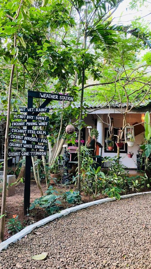 The Courtyard Villa สิกิริยา ภายนอก รูปภาพ
