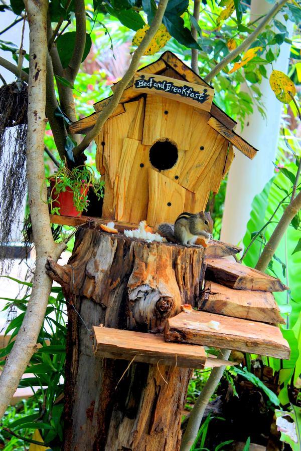 The Courtyard Villa สิกิริยา ภายนอก รูปภาพ