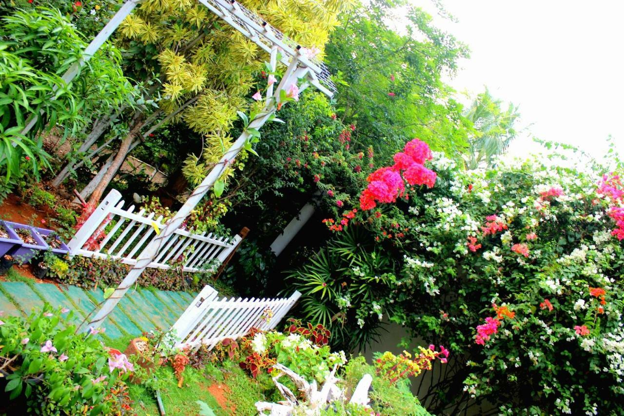 The Courtyard Villa สิกิริยา ภายนอก รูปภาพ